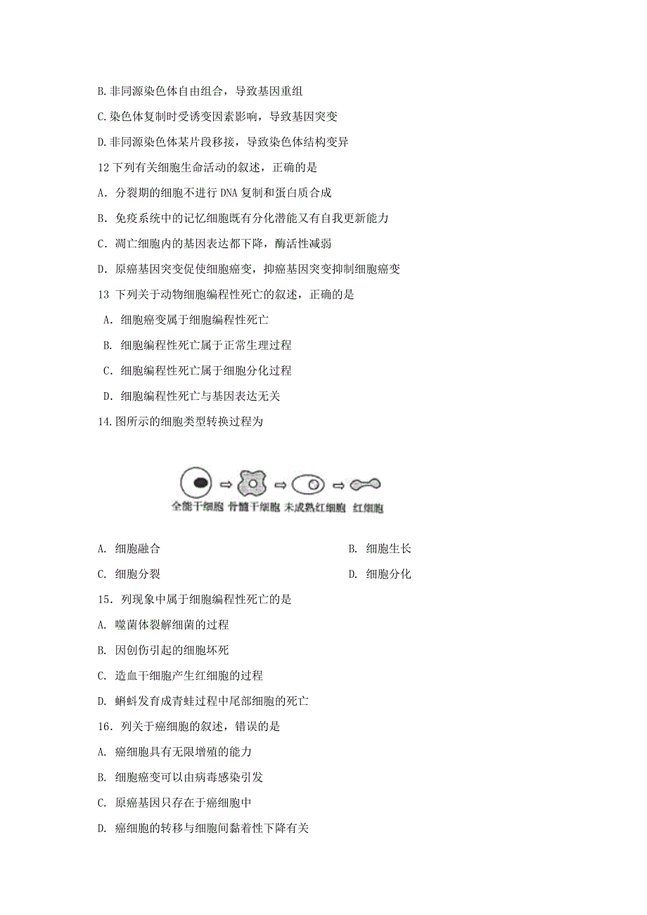 2010高考生物二轮复习三：细胞的生命历程专题测试及答案解析.doc_第3页