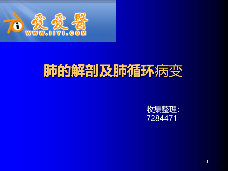 肺部解剖及肺循环相关病变PPT课件.ppt_第1页