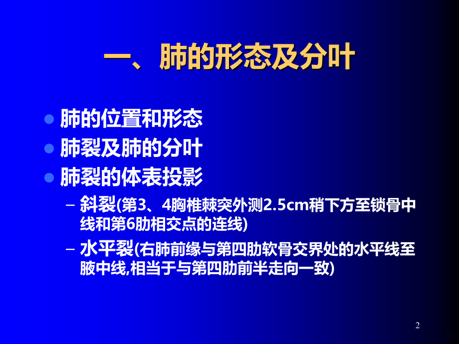 肺部解剖及肺循环相关病变PPT课件.ppt_第2页