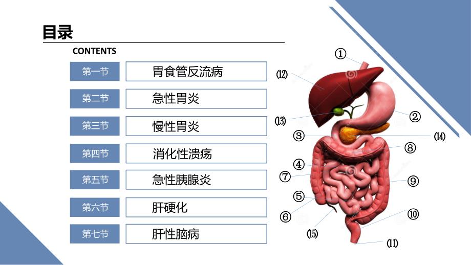 消化系统疾病01659PPT课件.ppt_第2页