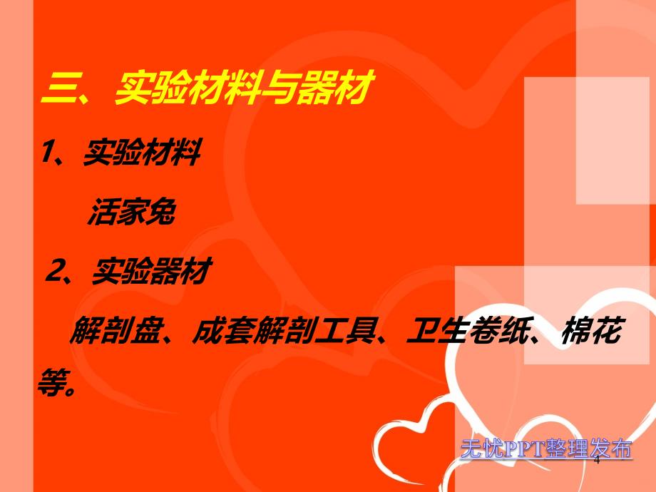 兔的外形观察和内部解剖PPT课件.ppt_第4页