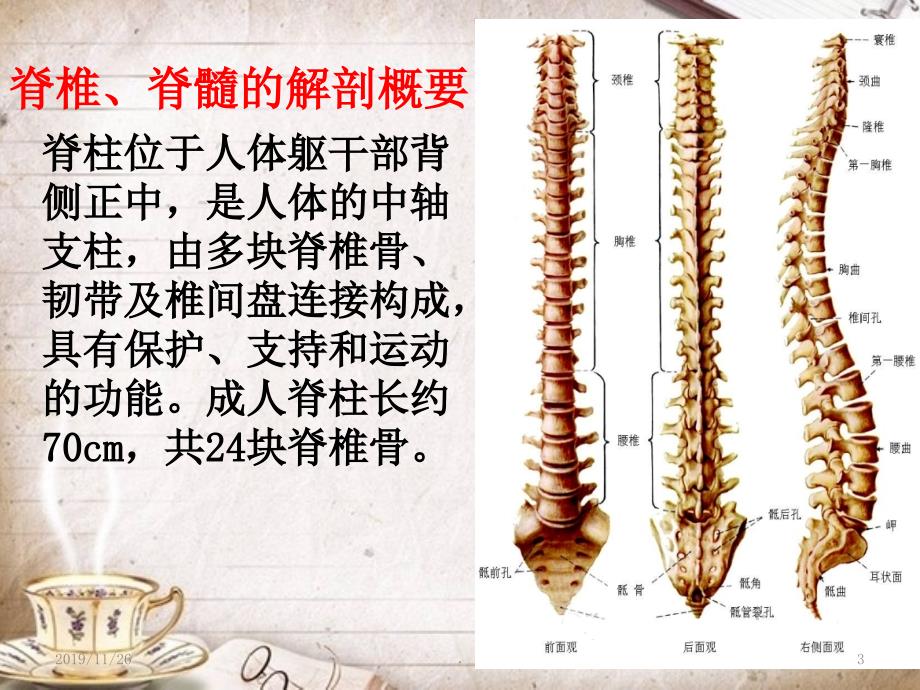 脊椎骨折及脊髓损伤护理PPT课件.ppt_第3页