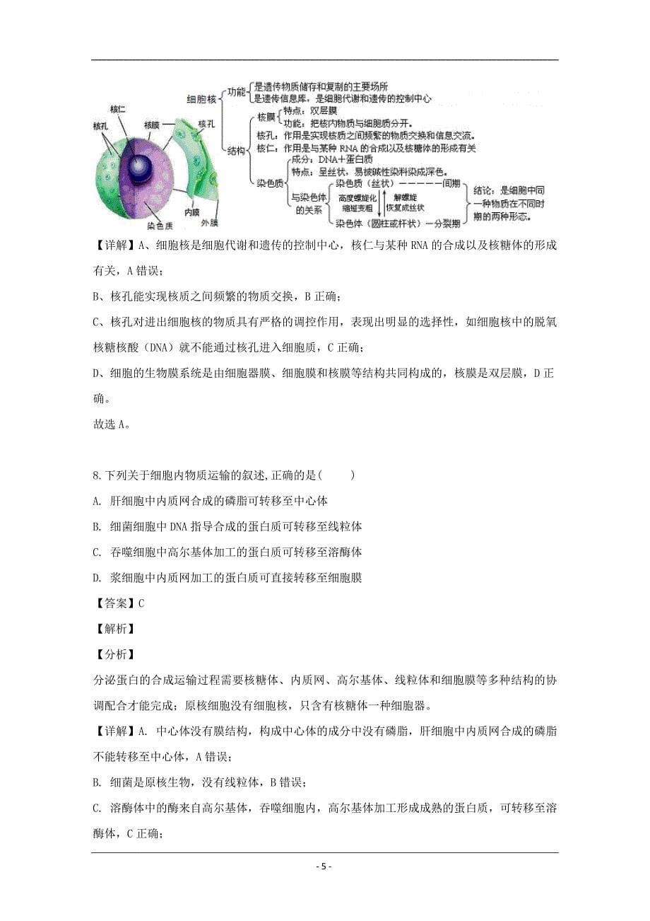 福建省三明永安市2020届高三上学期第一次联考生物试题 Word版含解析_第5页