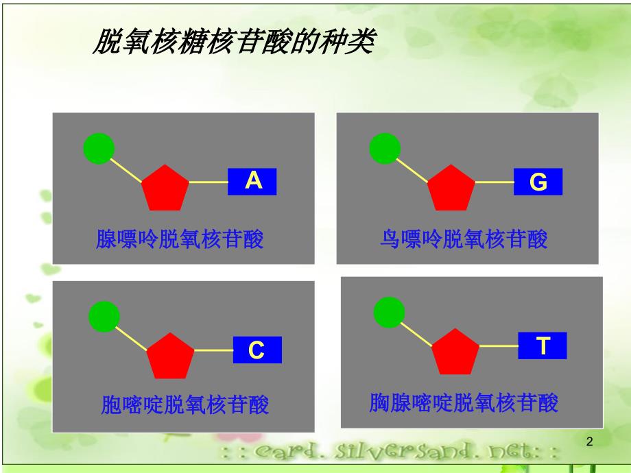 基因的本质-第节-DNA是主要的遗传物质_第2页