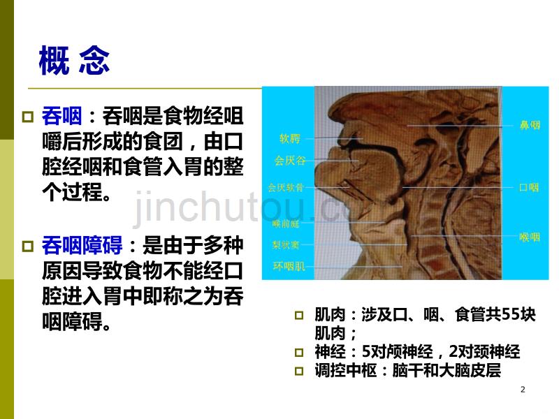 神经性吞咽障碍的治疗PPT课件.ppt_第2页