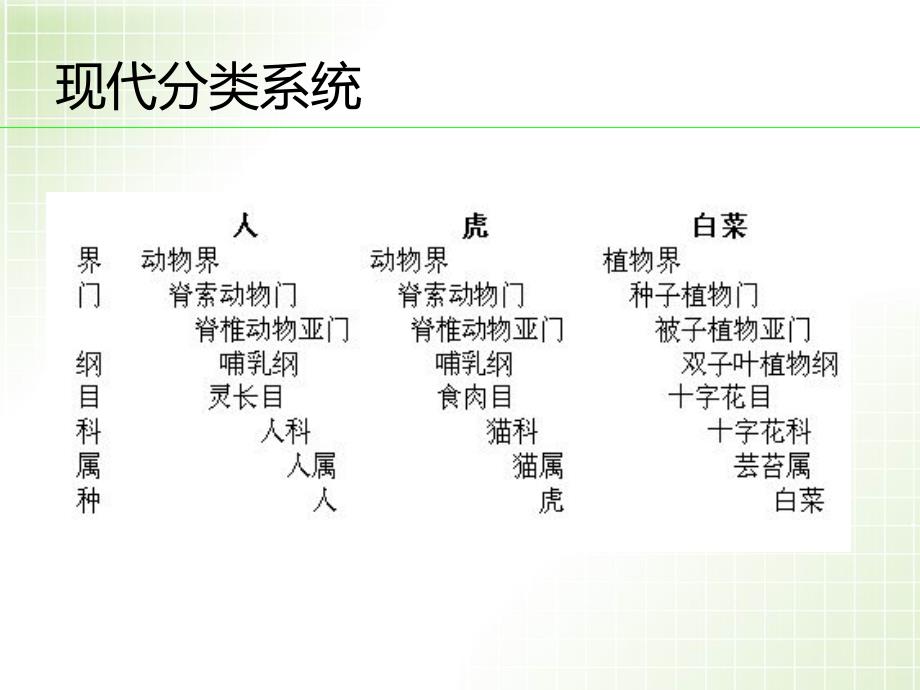 无脊椎动物和脊椎动物PPT课件.ppt_第2页