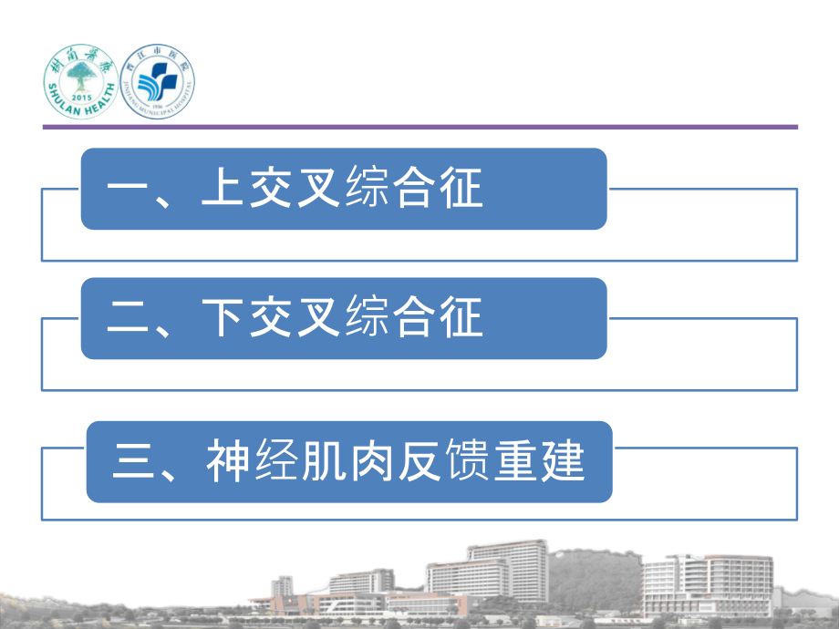 颈腰痛软组织治疗策略PPT课件.ppt_第4页