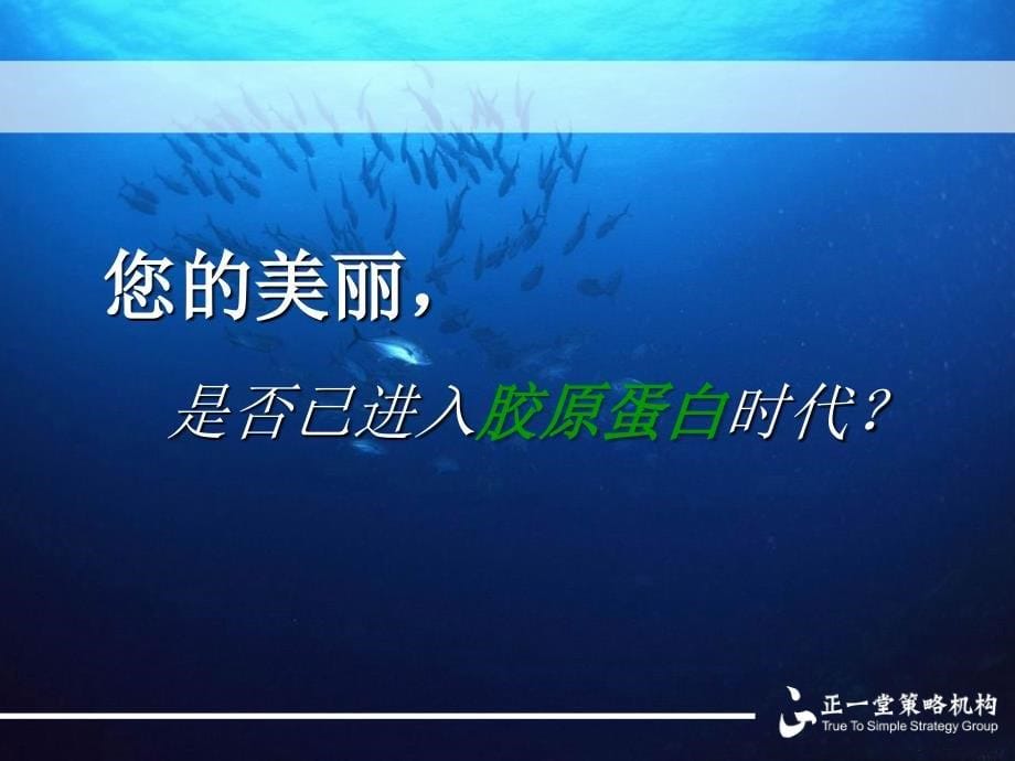 胶原蛋白推广联盟策略.ppt_第5页