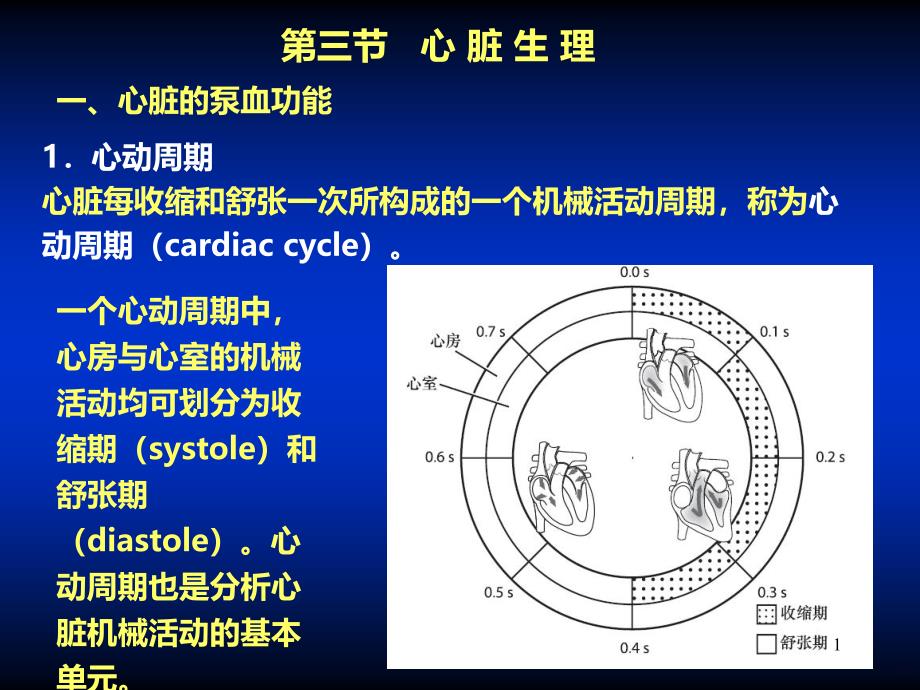 心脏生理PPT课件.ppt_第1页