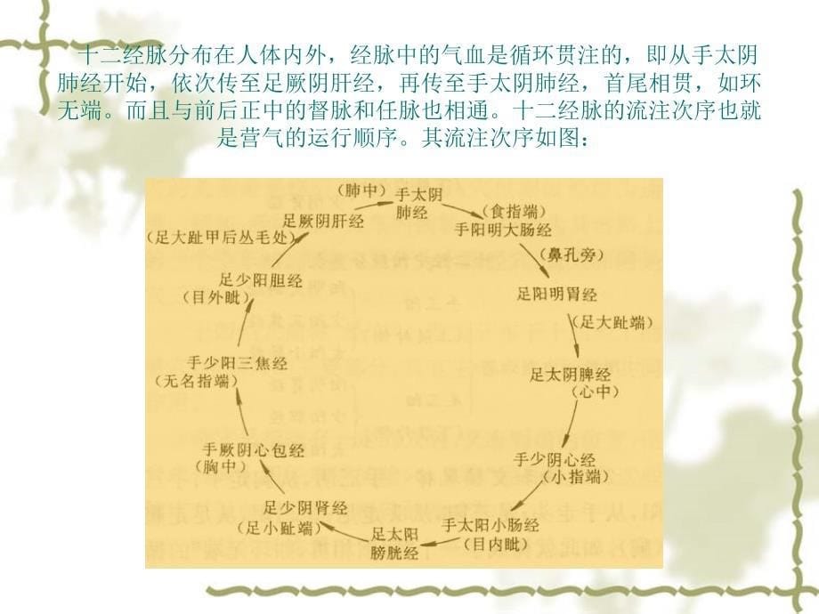 中医护理依据完整版本.ppt_第5页