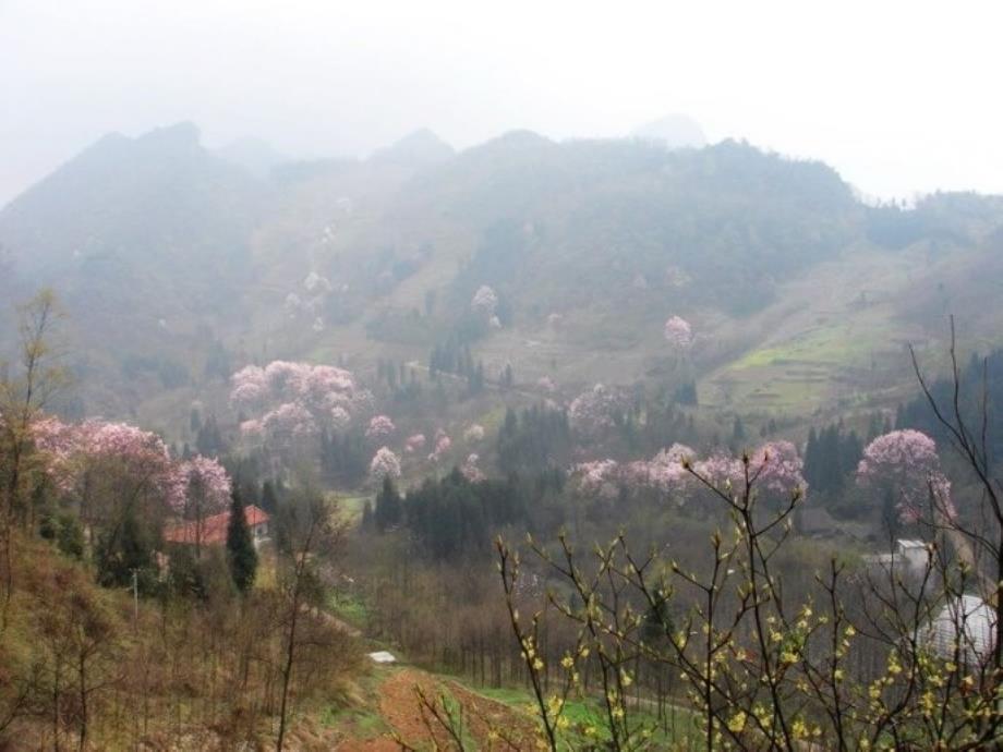 《暮春归故山草堂》配图欣赏_第3页