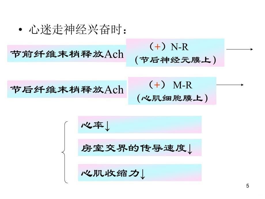 第三节心血管活动调节PPT课件.ppt_第5页