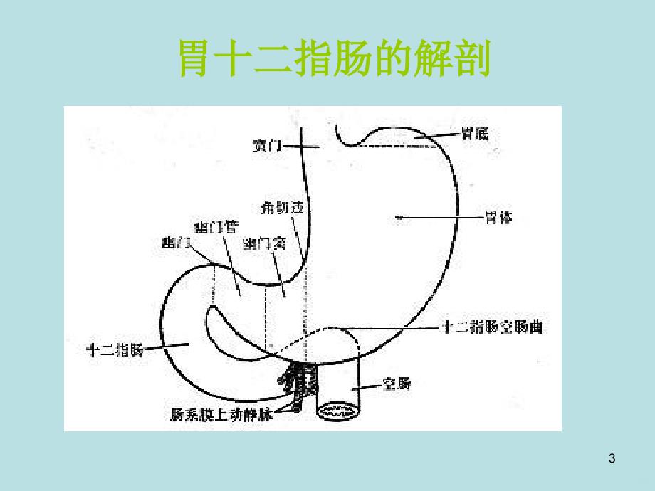 消化道溃疡的护理PPT课件.ppt_第3页