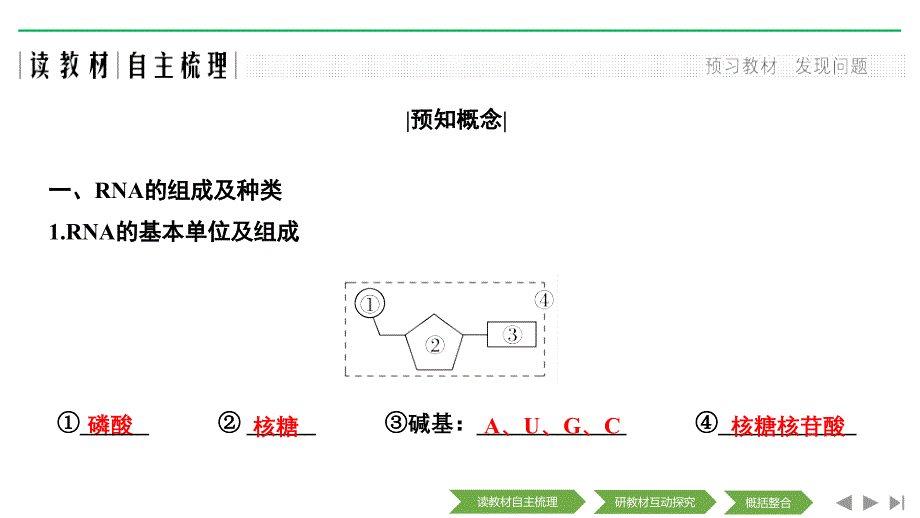 新设计生物人教（新课改地区）必修二课件：第4章 基因的表达 第1节 第1课时_第3页