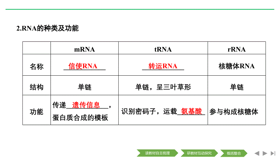 新设计生物人教（新课改地区）必修二课件：第4章 基因的表达 第1节 第1课时_第4页