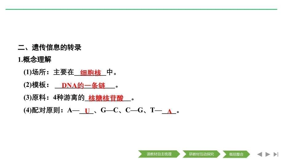 新设计生物人教（新课改地区）必修二课件：第4章 基因的表达 第1节 第1课时_第5页