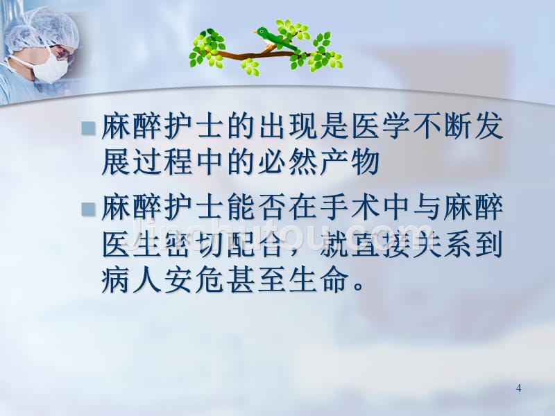 麻醉护士现状PPT课件.ppt_第4页