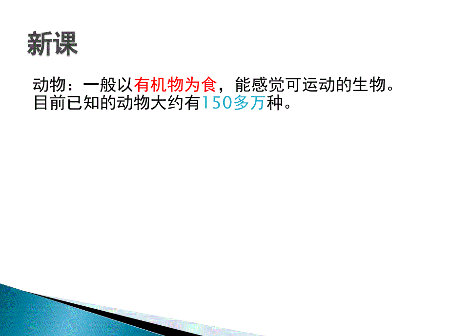 无脊椎动物PPT课件.ppt_第3页