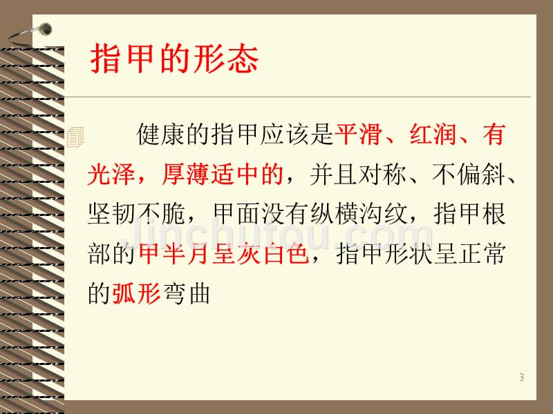 指甲上的秘密PPT课件.ppt_第3页