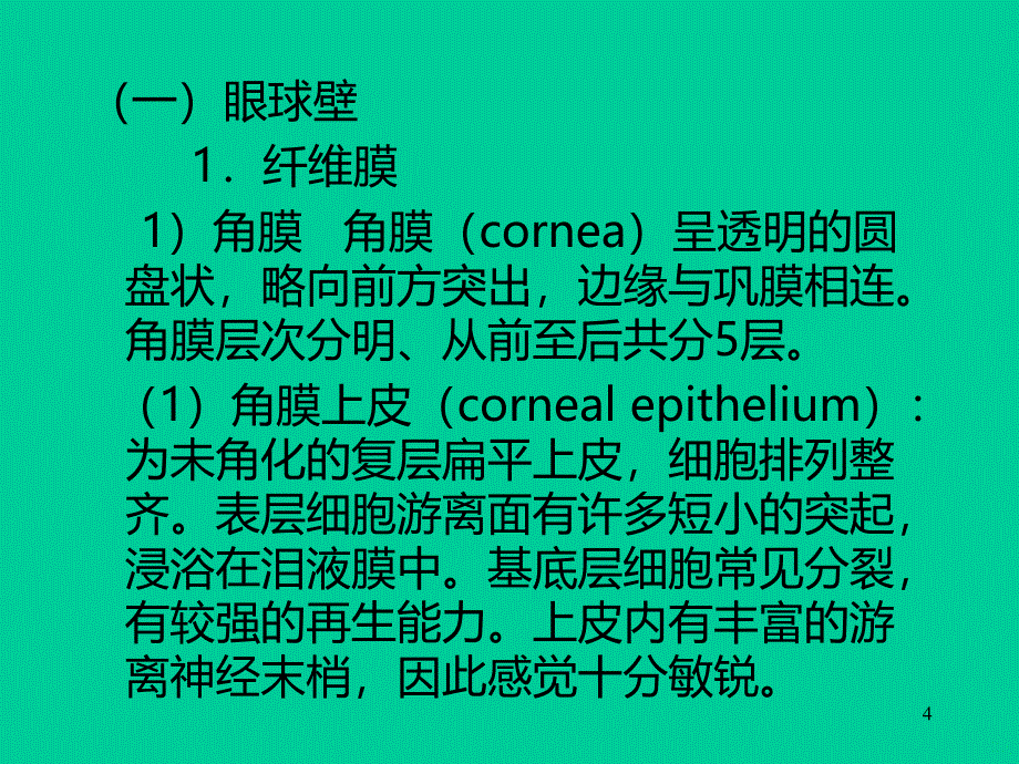 眼的结构介绍PPT课件.ppt_第4页