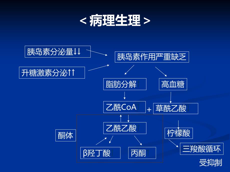 糖尿病酮症酸中毒 - 副本PPT课件.ppt_第5页