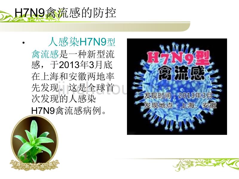 2007H7N9禽流感防治_第4页