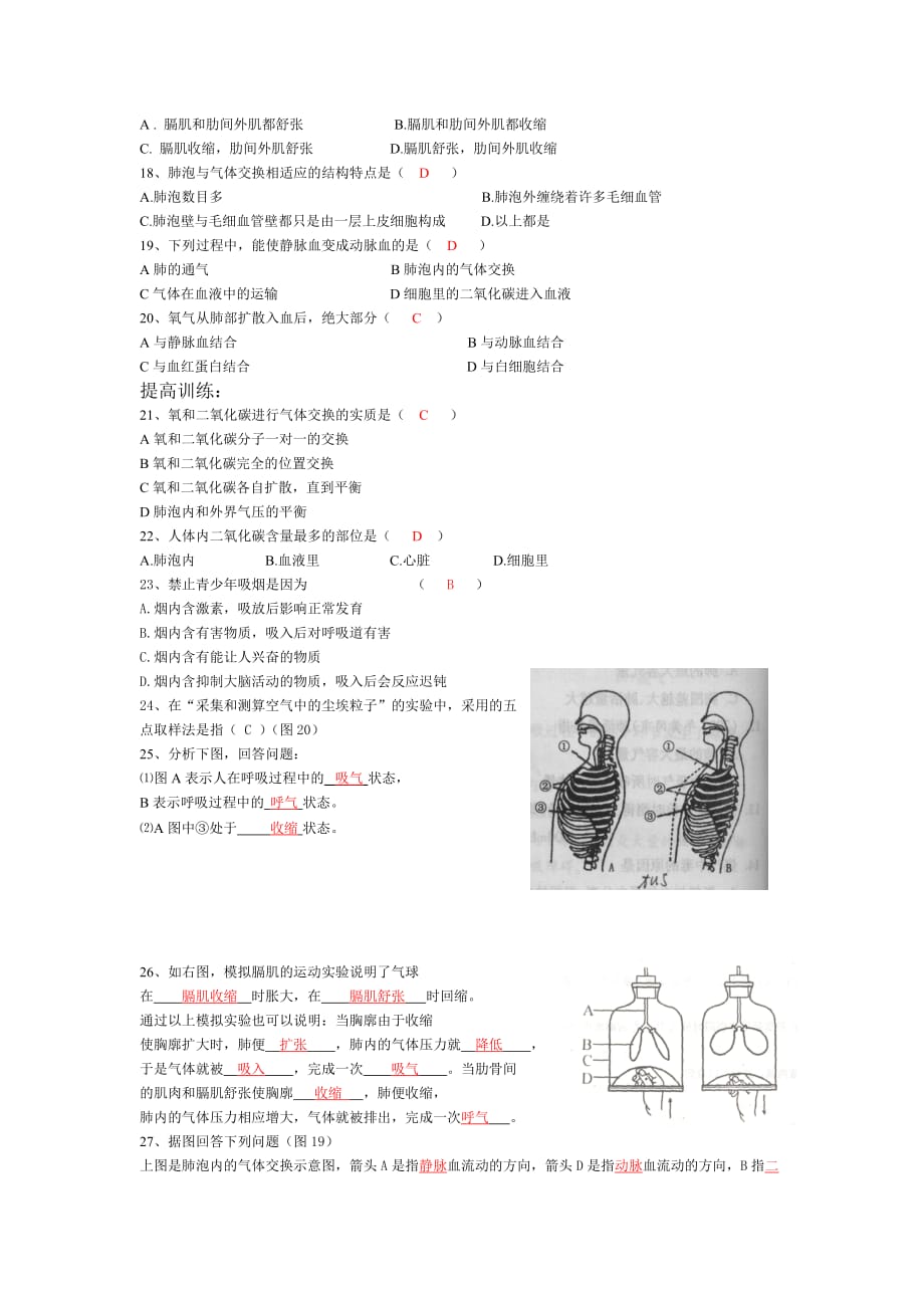 初一生物第三章试题人体的呼吸.doc_第3页