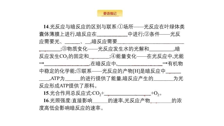 新设计生物人教大一轮复习课件：小册子 第3单元_第5页