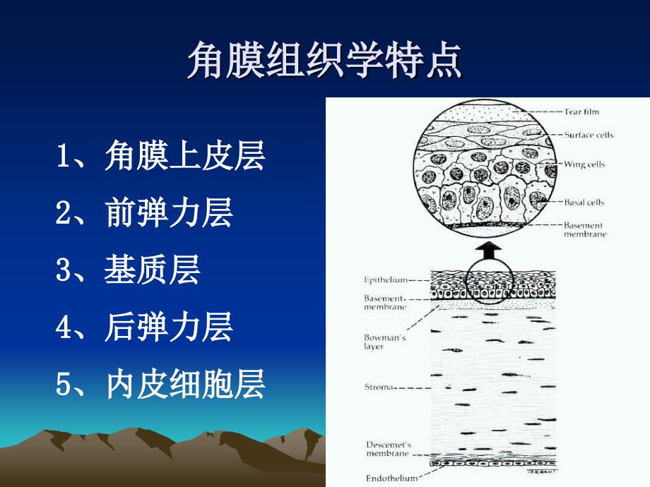 角膜病 (2)_第2页