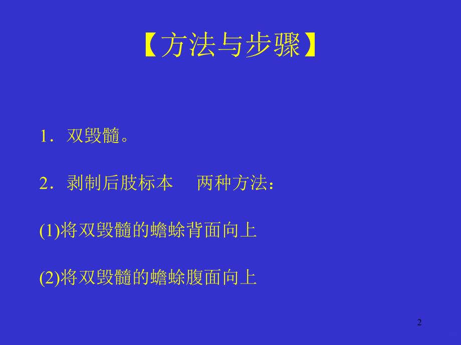 神经肌肉PPT课件.ppt_第2页