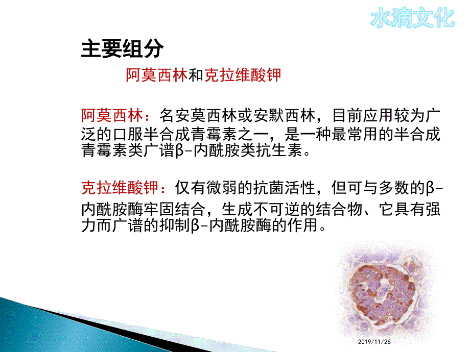 阿莫西林克拉维酸钾PPT课件.ppt_第2页