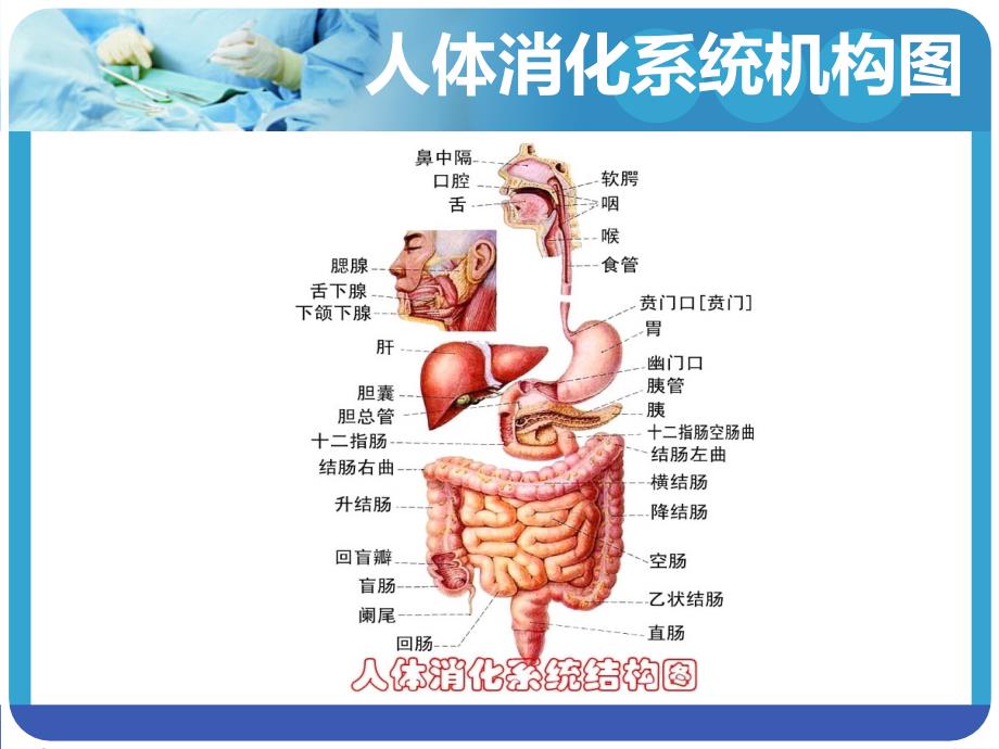 胃肠减压的护理PPT课件.ppt_第3页