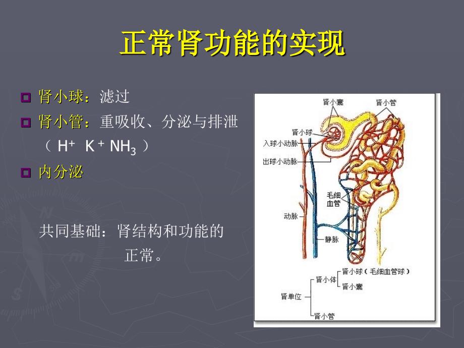 急性肾功能衰竭最新.ppt_第3页