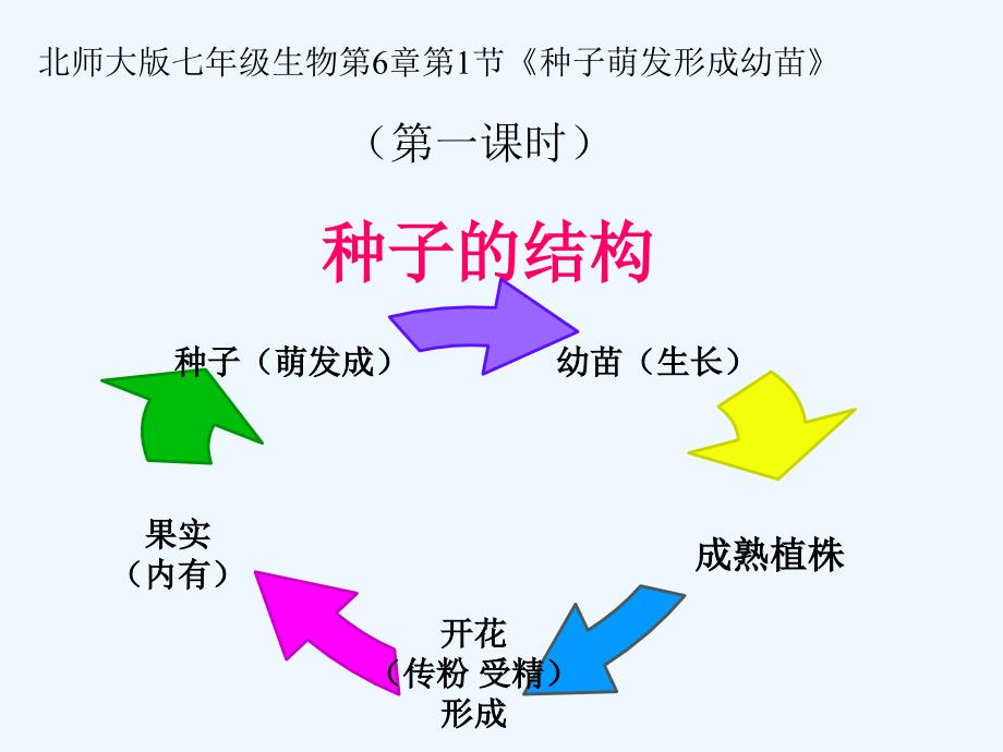 北师大版生物七上第一节《 种子萌发形成幼苗》ppt课件之一_第1页