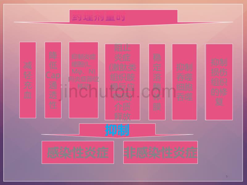 糖皮质激素在耳鼻喉科中的应用精品PPT课件.ppt_第5页