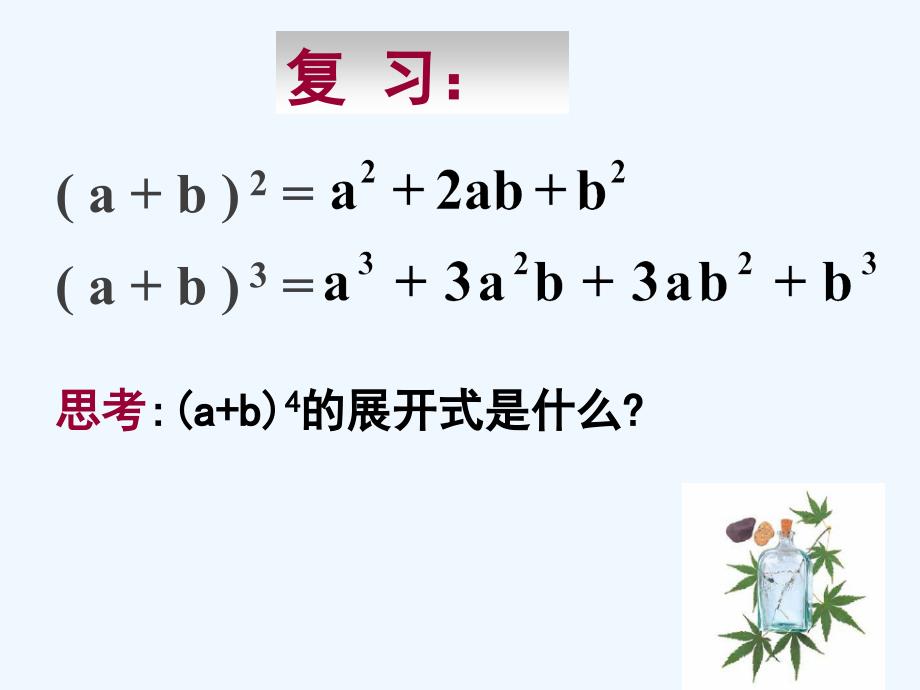 新疆鄯善县第二中学高中数学人教A 选修2-3 1.3.1《二项式定理（一）》课件_第2页