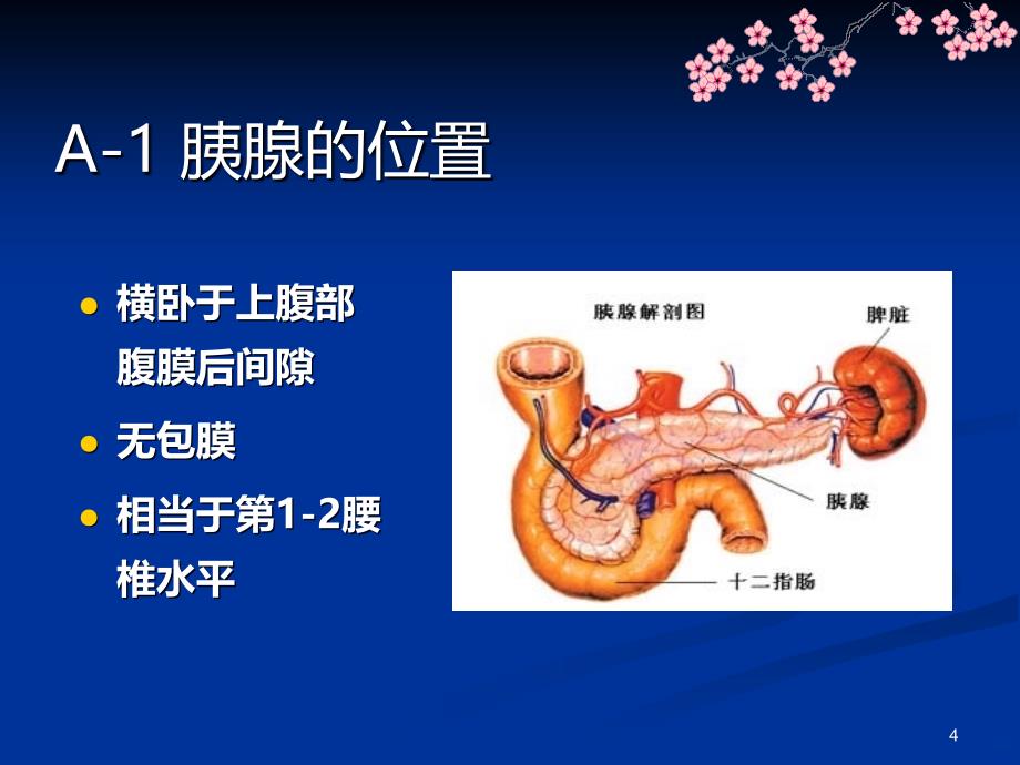 胰头癌影像学表现PPT课件.ppt_第4页