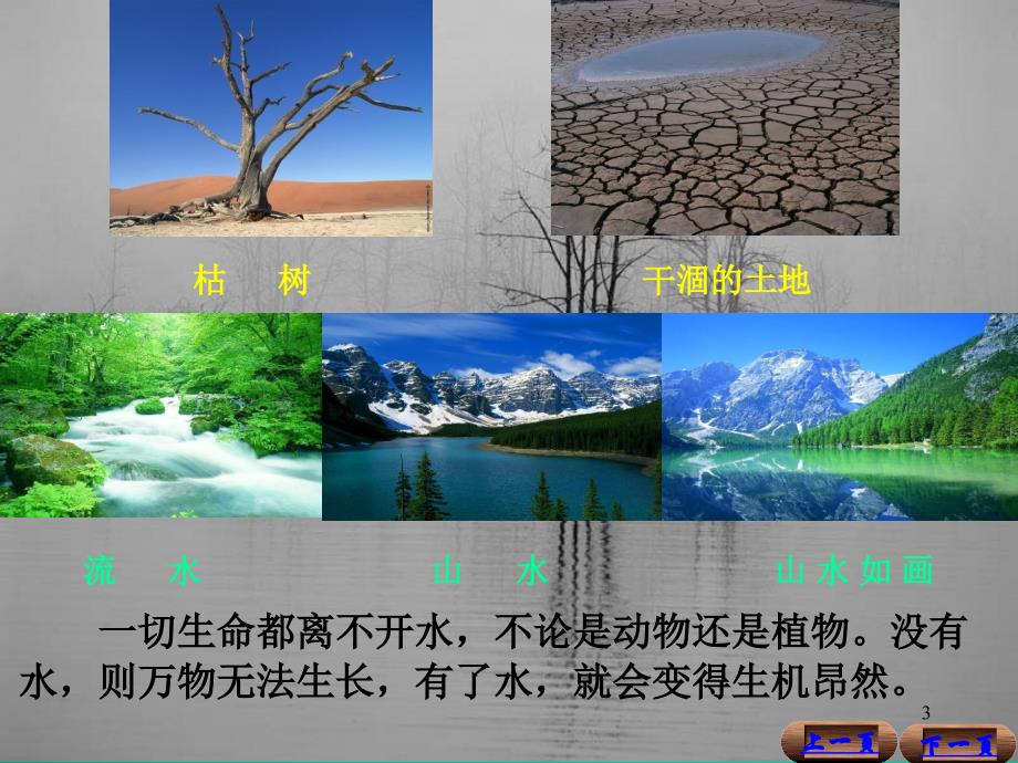 水在植物体内重要生理作用PPT课件.ppt_第3页