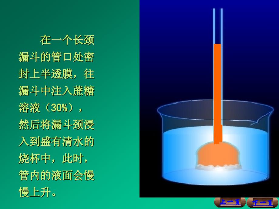 水在植物体内重要生理作用PPT课件.ppt_第4页