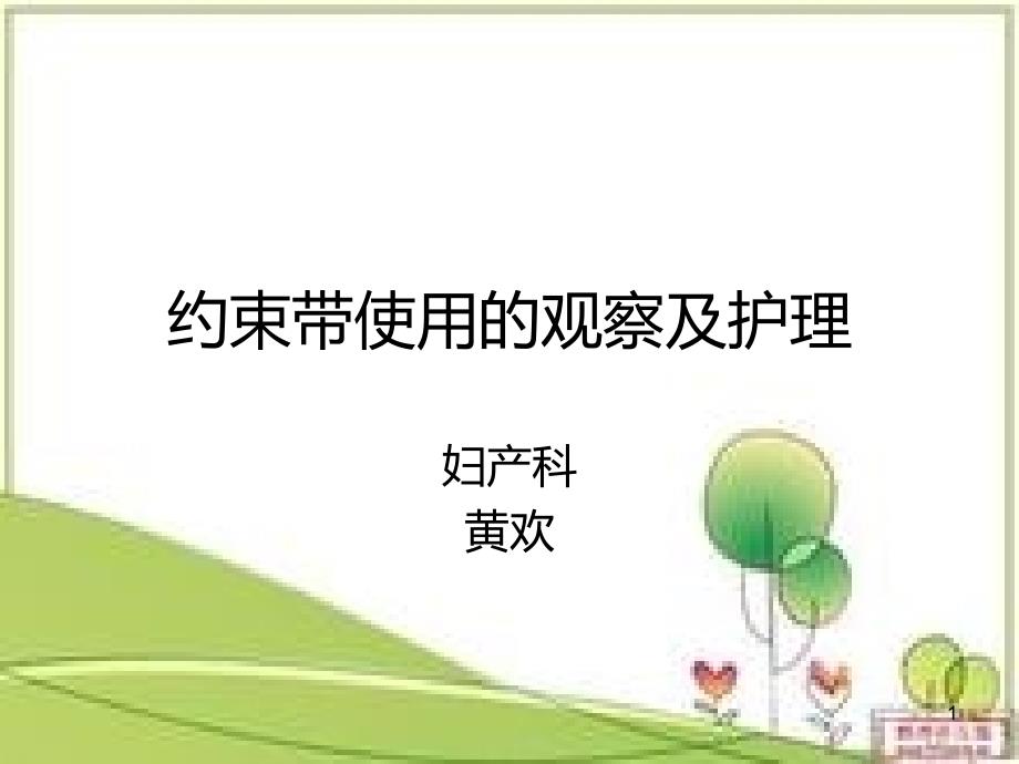 约束带使用的观察及护理PPT课件.ppt_第1页