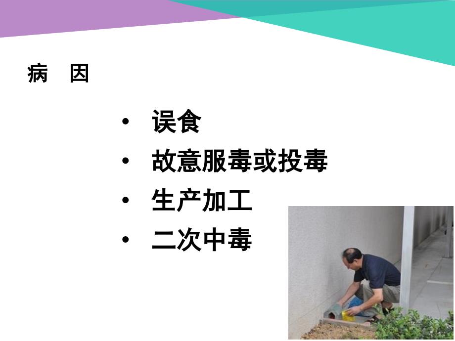 急性灭鼠剂中毒完整版本.ppt_第3页