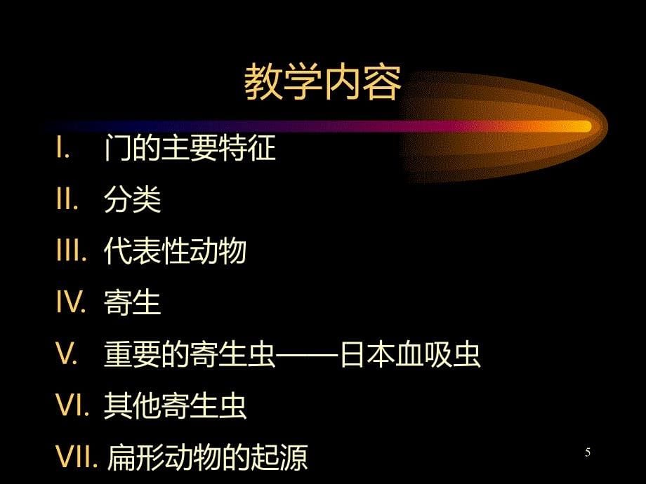 扁形动物PPT课件.ppt_第5页