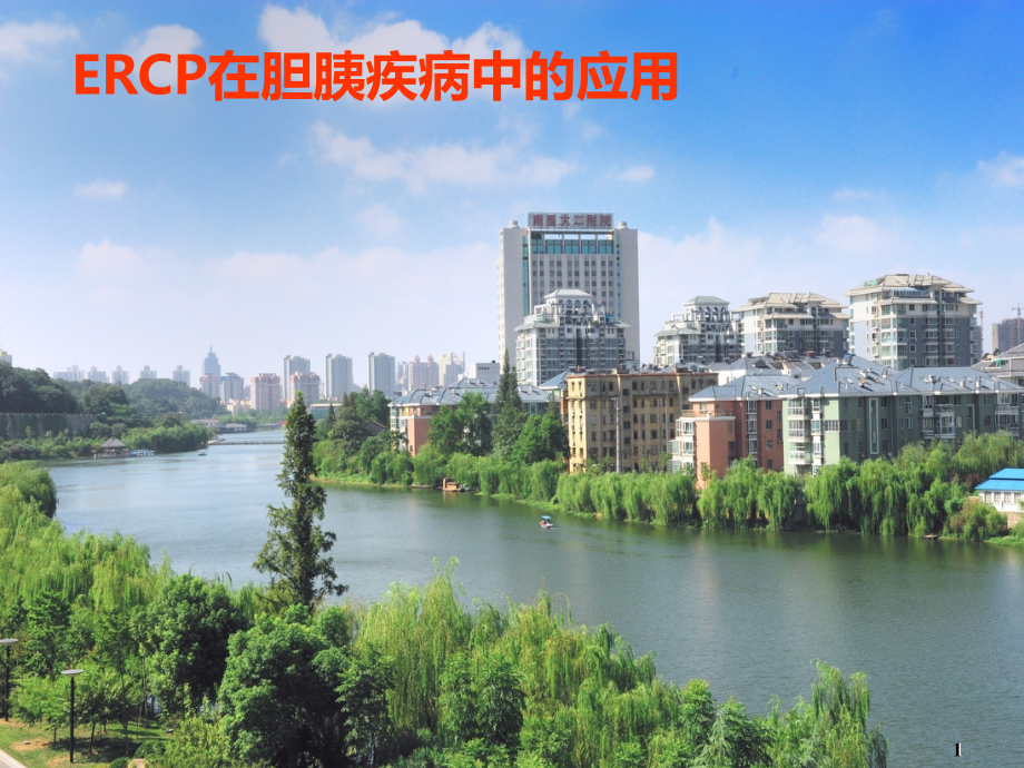 ERP在胆胰疾病中的应用PPT课件.ppt_第1页