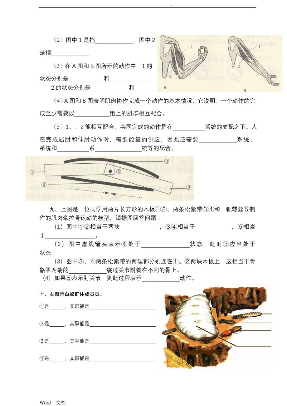 八年级生物上填图题(识图题)专题复习6_第4页