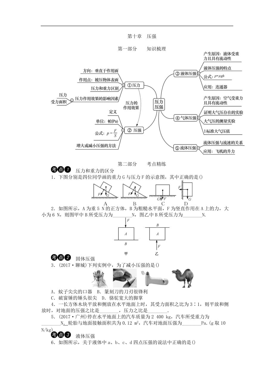 中考物理复习 第十章：压强_第1页