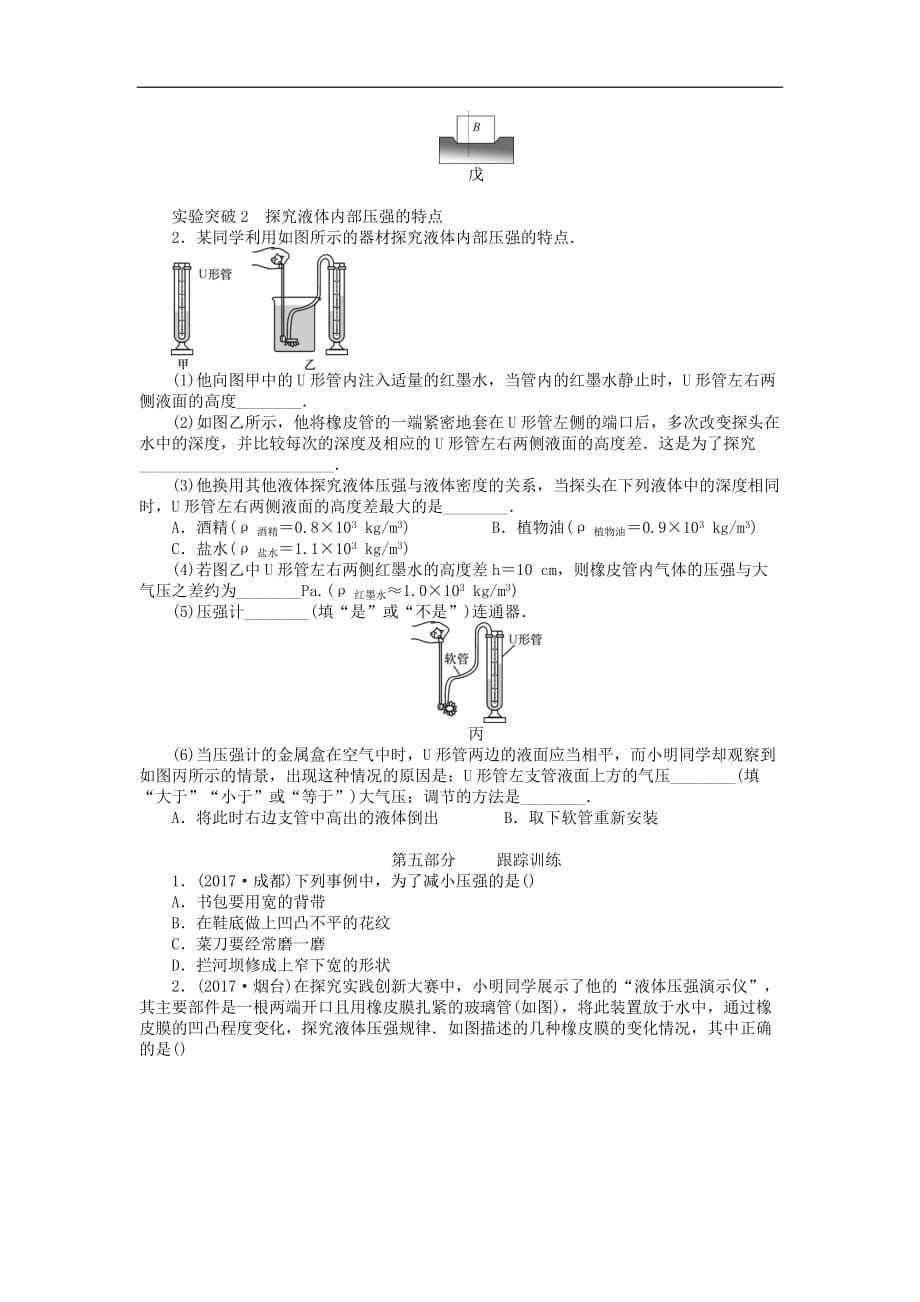 中考物理复习 第十章：压强_第5页