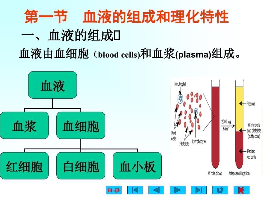 第三章+血液(临床医学本科).ppt_第5页