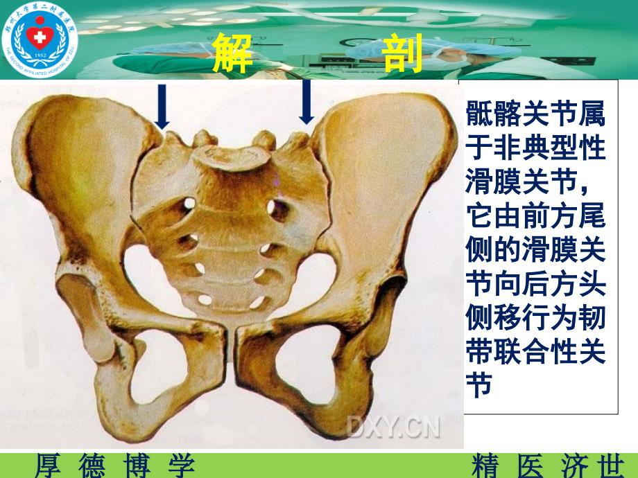 骶髂关节炎 (2)_第3页