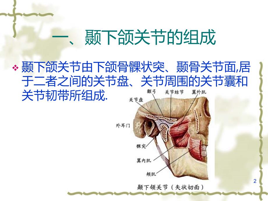 面部肌肉神经局解PPT课件.ppt_第2页