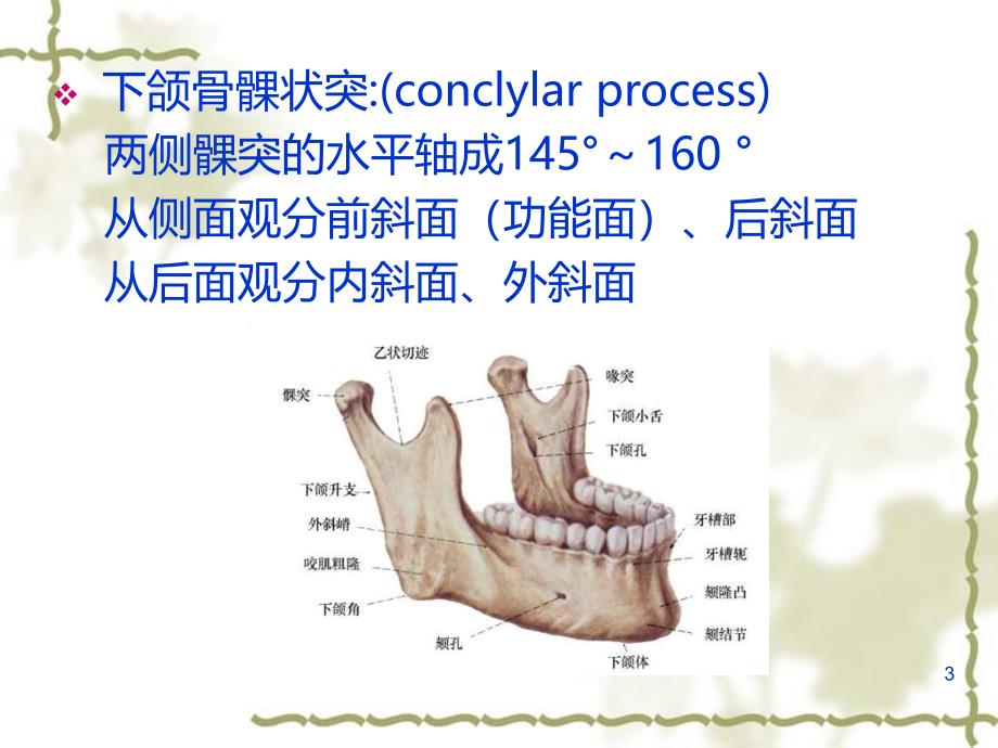 面部肌肉神经局解PPT课件.ppt_第3页